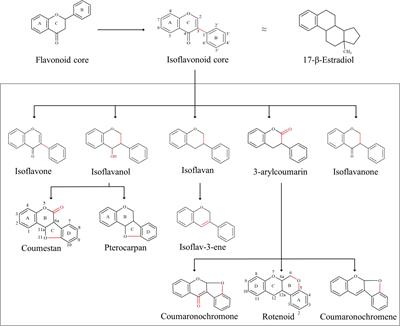 Recent Advances in Heterologous Synthesis Paving Way for Future Green-Modular Bioindustries: A Review With Special Reference to Isoflavonoids